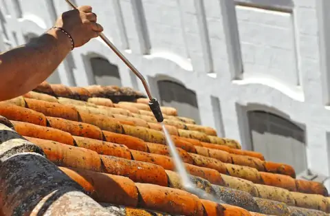 Nettoyage de toitures - Le Buisson-de-Cadouin